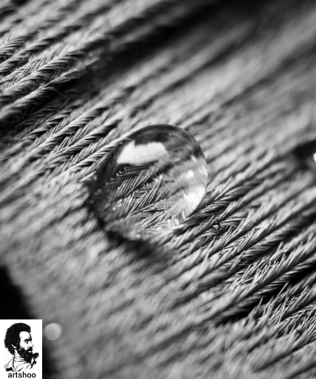 آموزش نقاشی سیاه قلم